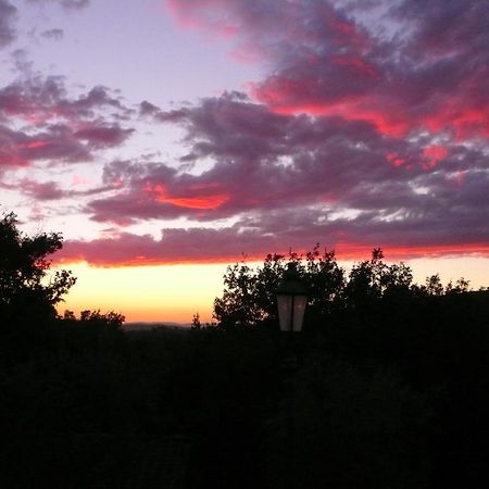 La Ghirlanda B&B Arezzo Zewnętrze zdjęcie