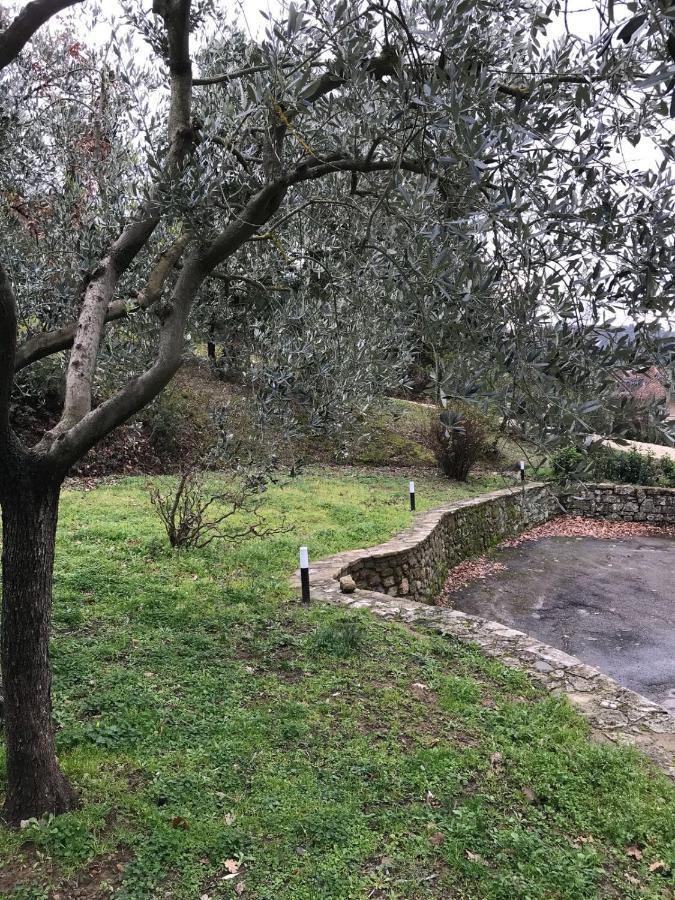 La Ghirlanda B&B Arezzo Zewnętrze zdjęcie